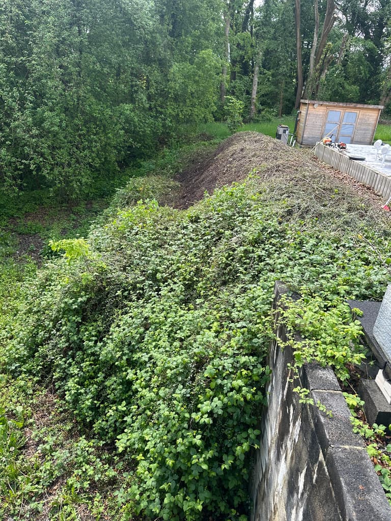 Talus et haie envahis de ronces avant intervention, Presles