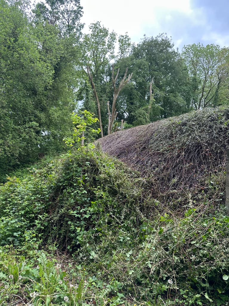 Talus broussailleux avant débroussaillage, Presles
