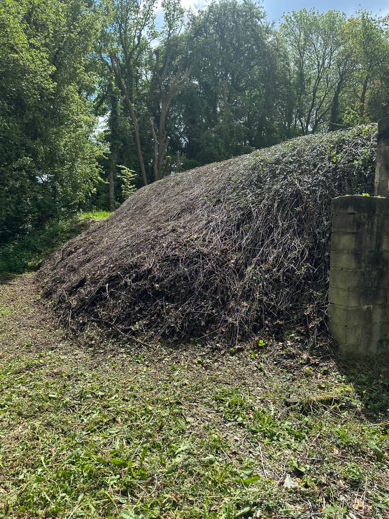 Haie taillée court sur toute sa longueur, Presles