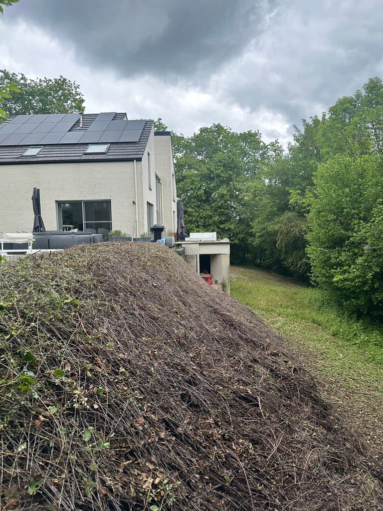Haie taillée, vue vers la maison, Presles