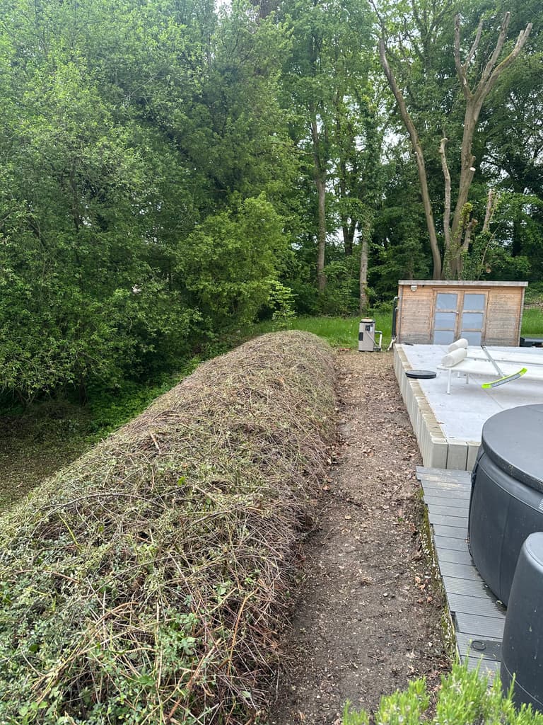 Haie taillée et talus dégagé le long de la terrasse, Presles