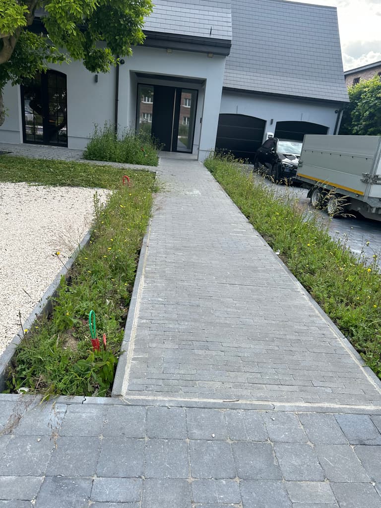 Abords de l'allée pavée envahis d'herbes avant désherbage, Trazegnies