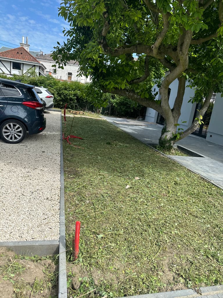 Bande enherbée coupée entre gravier et allée, Trazegnies