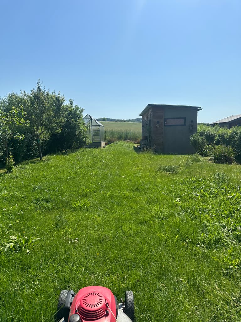Pelouse haute avant tonte, tondeuse en place, Dion (Beauraing)