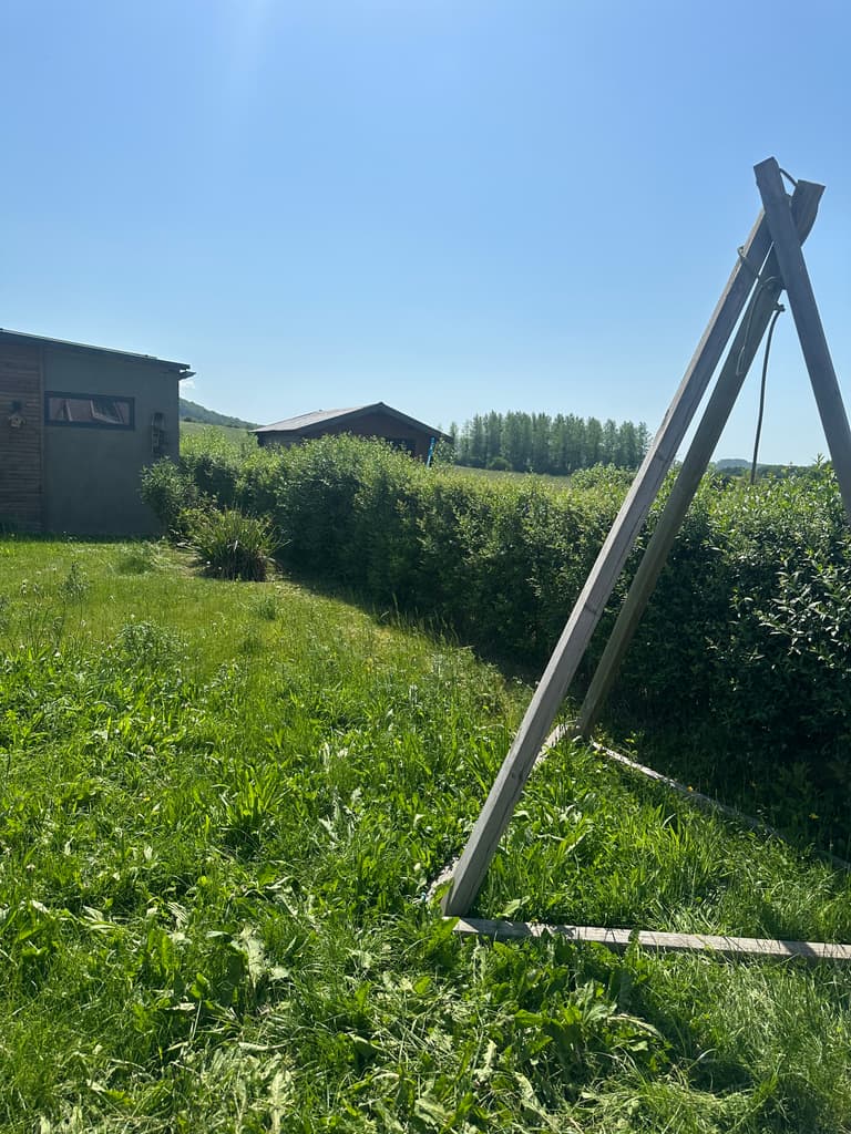 Herbe haute et haie autour du portique, avant tonte, Dion (Beauraing)