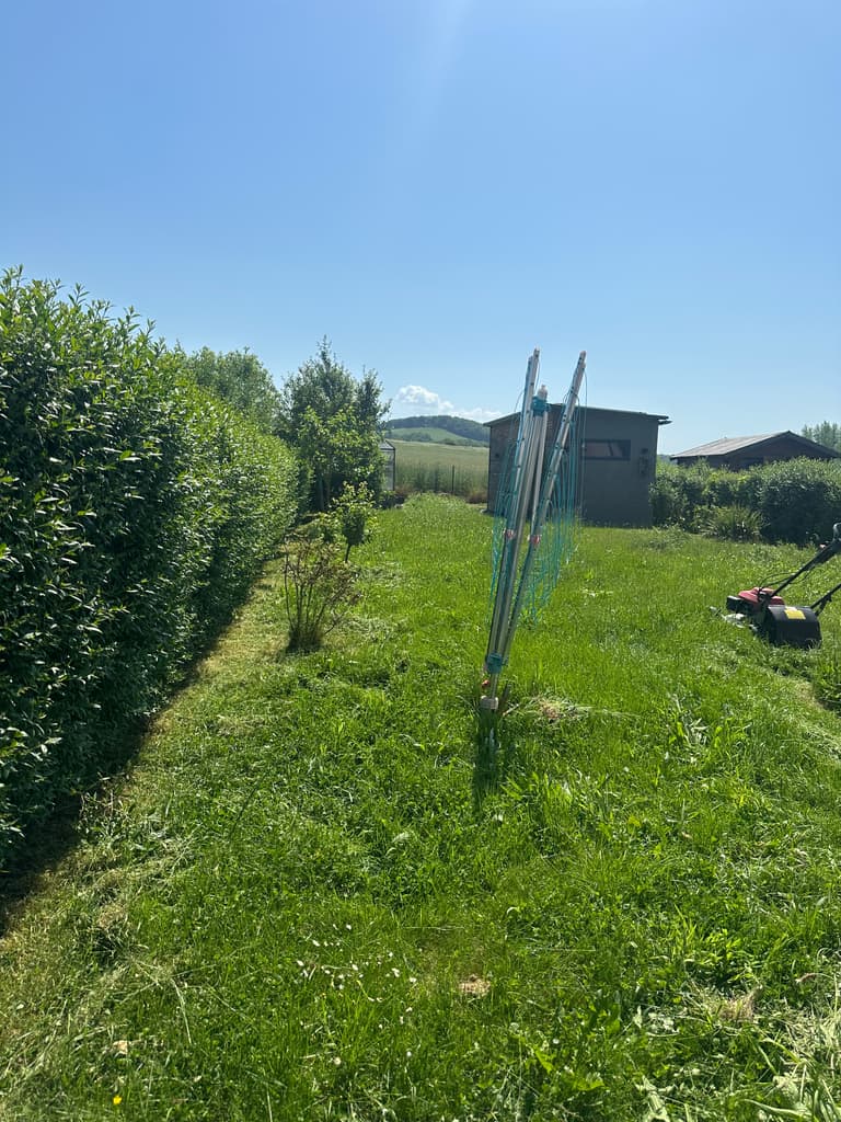Haie taillée et pelouse tondue, Dion (Beauraing)