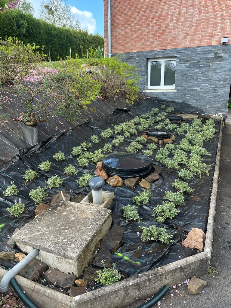 Massif de vivaces fraîchement planté sur le talus, Ham-sur-Meuse