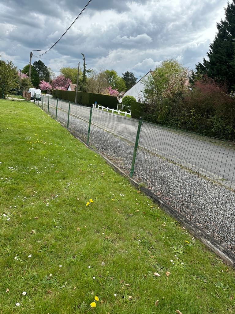 Pelouse le long de la clôture avant plantation de la haie, Gozée