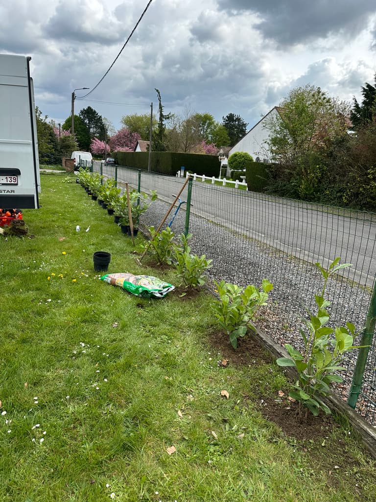 Plantation de la haie en cours, terreau et outils, Gozée